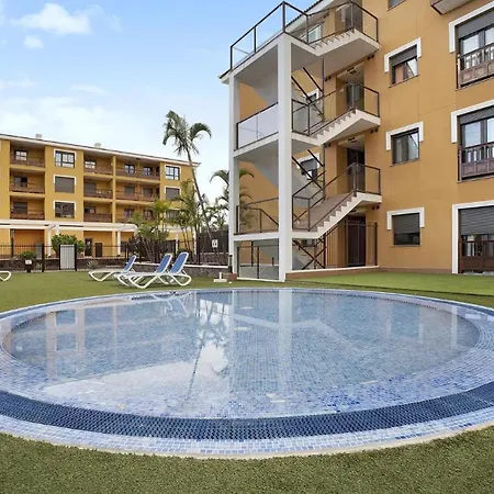 Island 77 Palm-mar