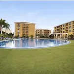 Island 77 Palm-mar
